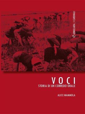 cover image of Voci
